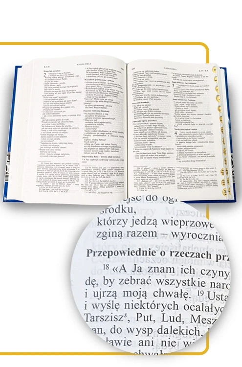 Środek.webp