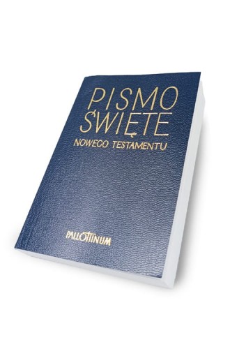 Prawy przód bez.jpg