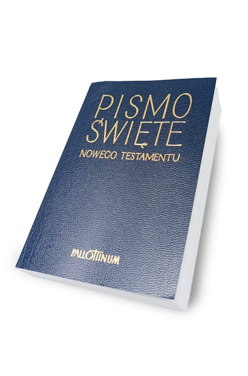 Prawy przód bez.jpg